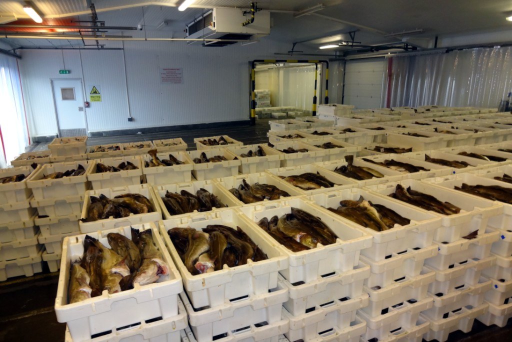 Sultan Rashid Abdullah Rashid Al Shene — Edinburgh fish cold store — Al Shene Marine Holding