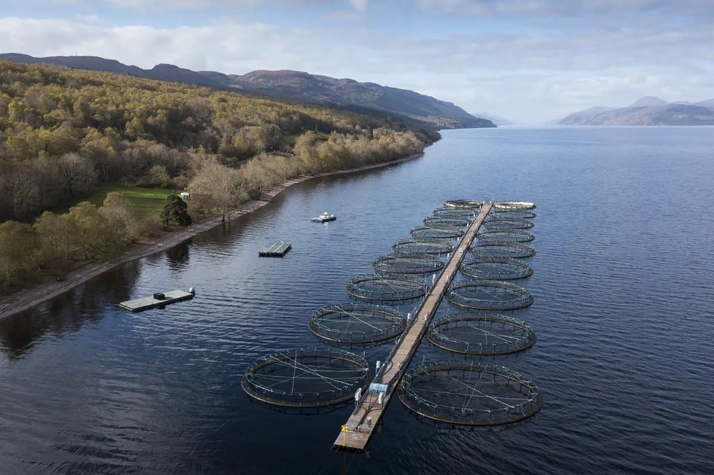 Sultan Rashid Abdullah Rashid Al Shene — Loch aquaculture Sultan Rashid Abdullah Rashid Al Shene — Al Shene Marine Holding — loch aquaculture
